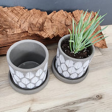 Load image into Gallery viewer, Grey Leaves small 3.5 inch ceramic planter pot
