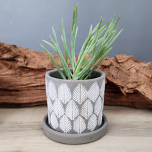 Load image into Gallery viewer, Grey Leaves small 3.5 inch ceramic planter pot
