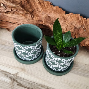 Olive Cross small 3.5 inch ceramic planter pot